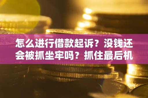 济南怎么进行借款起诉？没钱还会被抓坐牢吗？抓住最后机会！