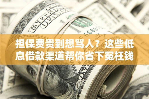 济南担保费贵到想骂人？这些低息借款渠道帮你省下冤枉钱