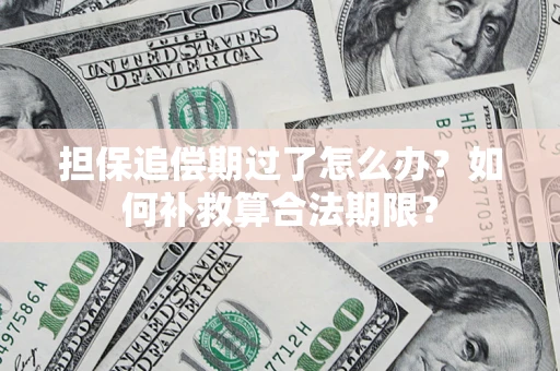 济南担保追偿期过了怎么办？如何补救算合法期限？