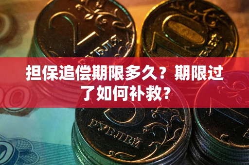 济南担保追偿期限多久？期限过了如何补救？