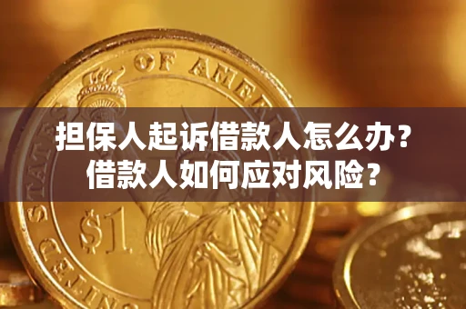 济南担保人起诉借款人怎么办？借款人如何应对风险？